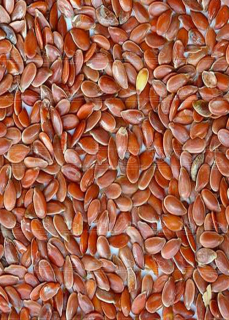 Семя льна Carp Baits 2кг