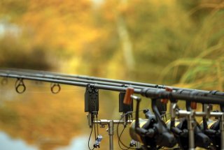 Сигнализатор поклевки Delkim Txi-D Digital Bite Alarm Red