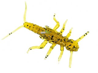 Силікон Fishup Stonefly 0,75" 074 - Green Pumpkin Seed (12шт/уп)