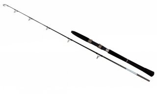 Спиннинг Golden Catch Rocky 1,65м 20lbs