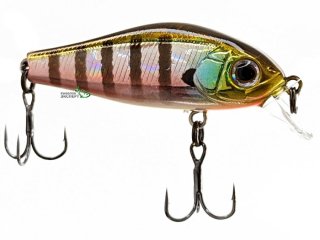 Воблер ZipBaits Rigge 43SP 509