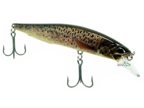Воблер DUO Realis Jerkbait 100SP Pike CCC3815 Brown Trout ND