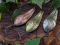 Блешня Acoustic Baits Atom SovoK 12г 6,5см