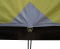 Палатка Tramp Lite Camp 4 olive (UTLT-022-olive)