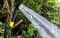 Душ Ridge Monkey Outdoor Power Shower Attachment Set (без каністри)