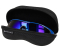 Очки Golden Catch polarized SBL201BLR