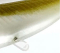 Силікон Savage Gear Savage Minnow 12,5см 35,0г