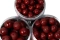 Бойли в амінодипі Carp Catchers Titan Hookbaits RED 20mm