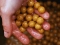 Бойли Dynamite Baits Peppered Fruit Boilies