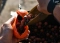 Ракета Spyder Spod Medium orange/black