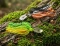 Чаттербейт Lucky John Chatterbait Perch 8.0g