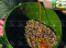 Ведро Dynamite Baits Carp Bucket Green 11л