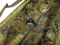 Сумка для зважування Fox Carpmaster STR Weigh Sling XL (CCC054)