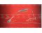 Оснастка Golden Catch Catfish Rig With Single Hook 4/0 150см
