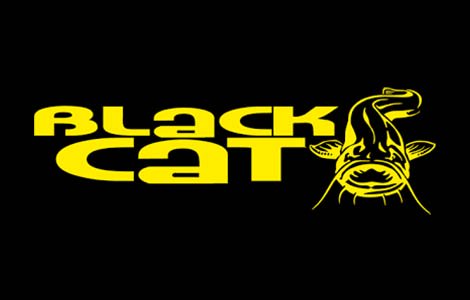 Перчатки для сома Black Cat Catfish Gloves: купить недорого в Киеве,  Харькове ― Рыболов - Эксперт