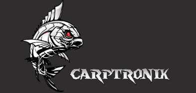 Carptronik