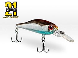 Pontoon-21-Cheerful --- 26888jn_enl
